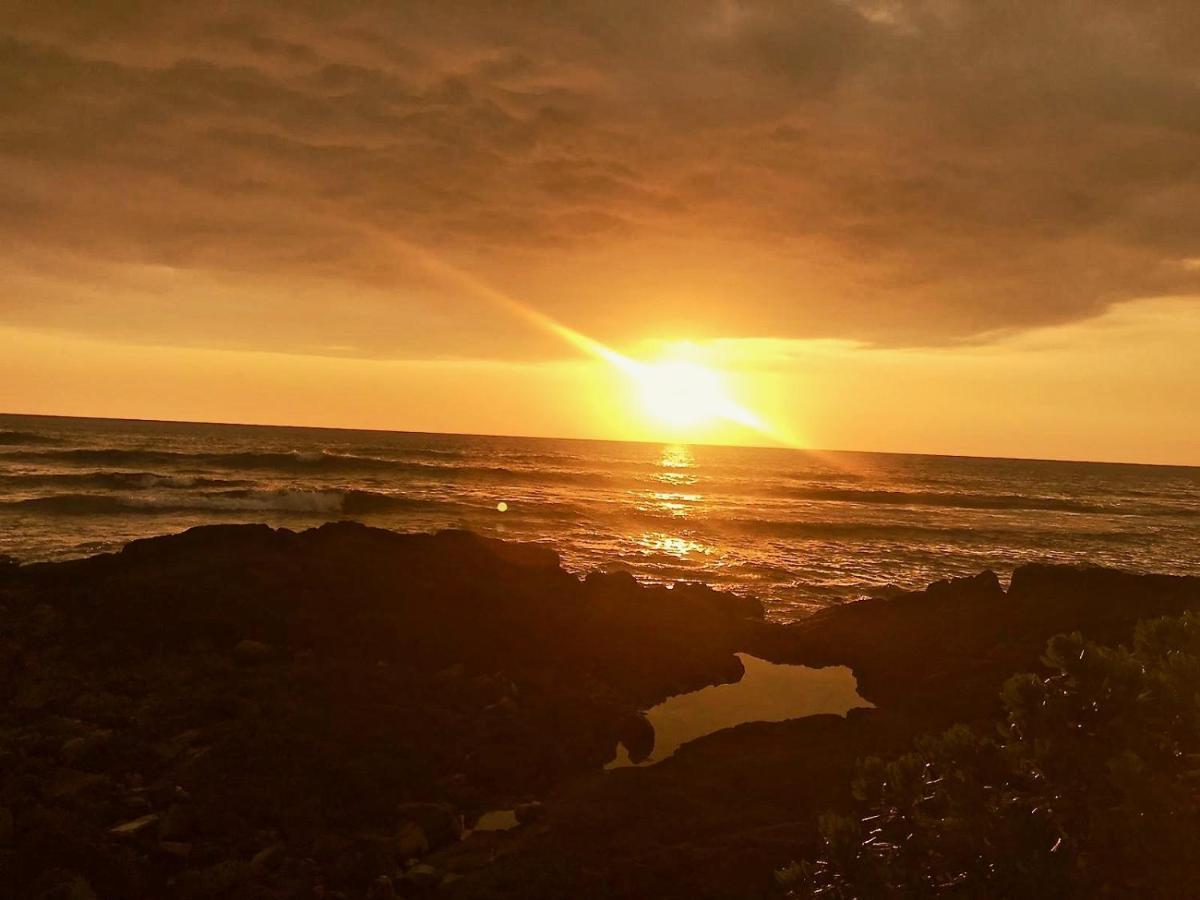 Unwind On Your Fantasy Hawaiian Vacation- 1Bd/1Ba Condo In Kailua-Kona, Hawaii Екстериор снимка