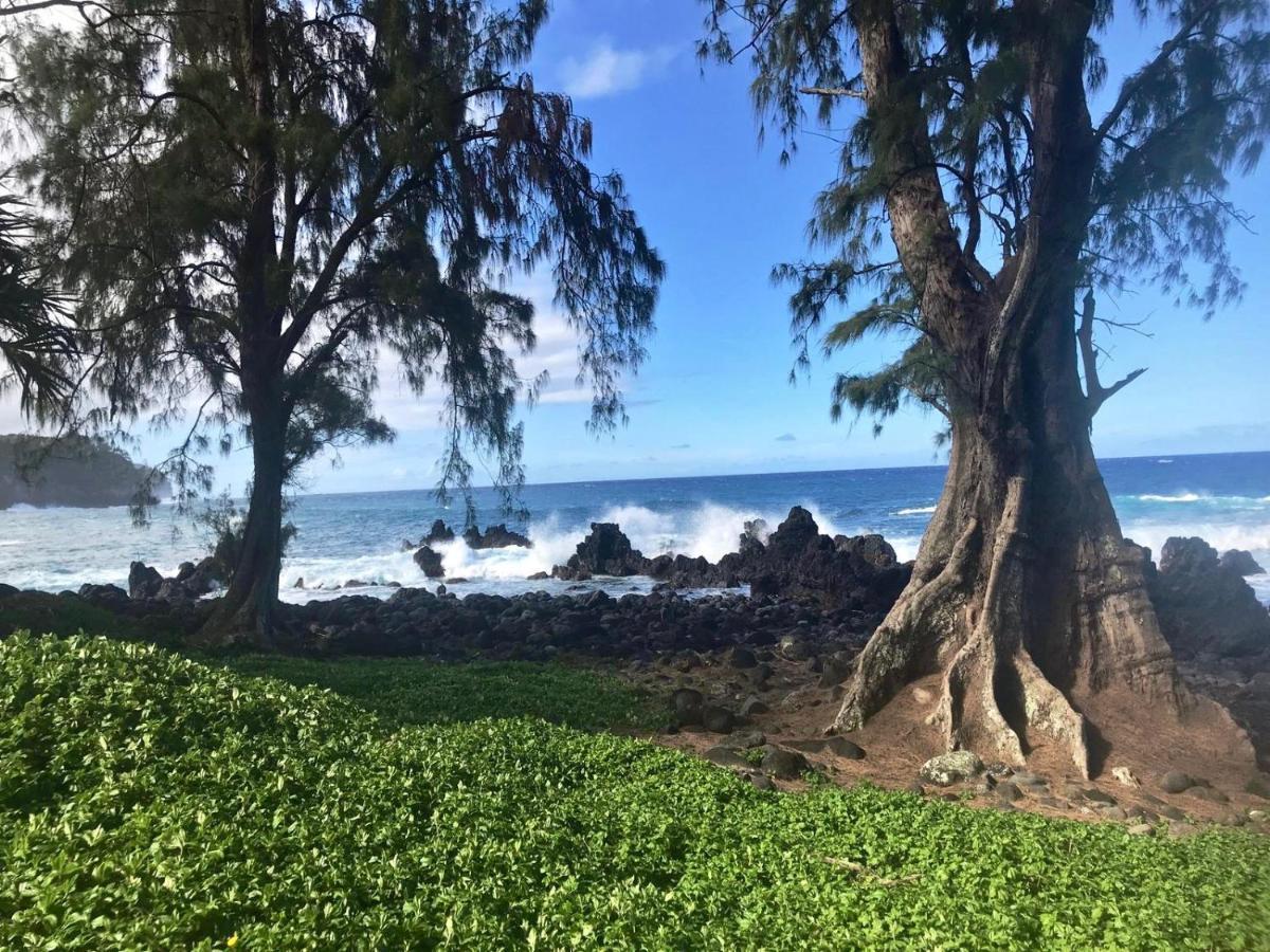 Unwind On Your Fantasy Hawaiian Vacation- 1Bd/1Ba Condo In Kailua-Kona, Hawaii Екстериор снимка